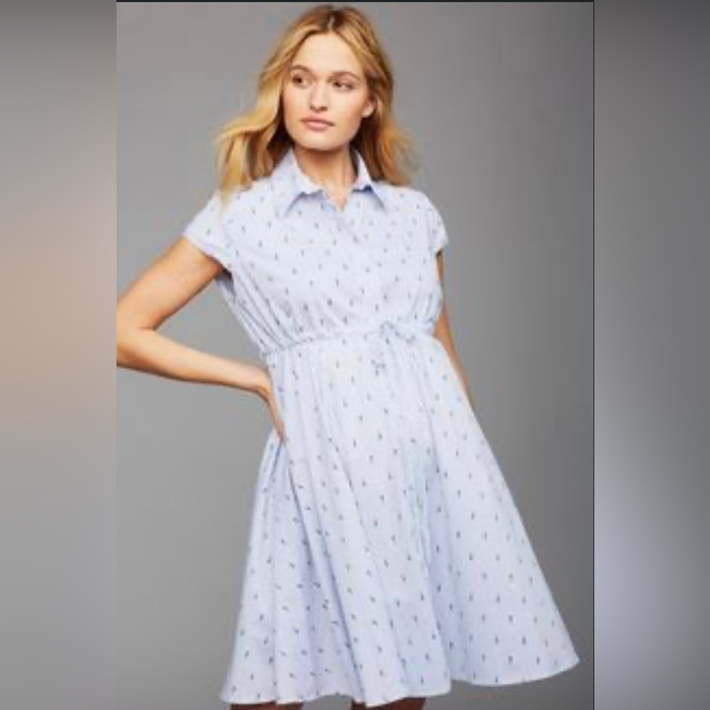 Pietro Brunelli Milano White/Blue Striped Dress - NWT